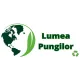 LUMEA PUNGILOR LUMEA PUNGILOR